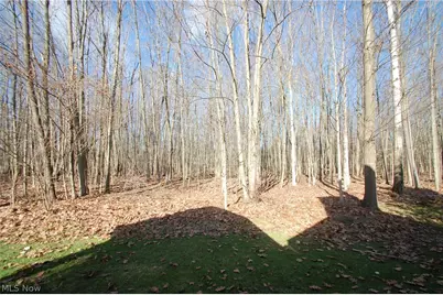 7863 Walnut Street #A, Boardman, OH 44512 - Photo 5