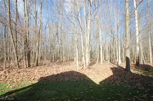 7863 Walnut St, Boardman, OH 44512 - Photo 5