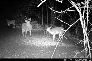 3265 York View Rd SW, New Philadelphia, OH 44663 - Photo 43