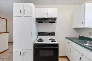 732 Vernon Odom Blvd, Akron, OH 44307 - Photo 5