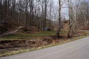 2742 Laurel Creek Rd, Waverly, WV 26184 - Photo 23
