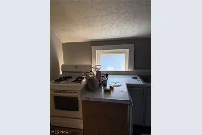 2083 W 42nd Street, Loveland, OH 44113 - Photo 5