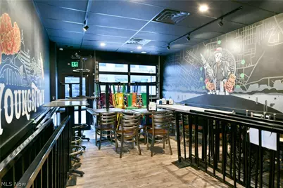 24 N Phelps Street, Youngstown, OH 44503 - Photo 25