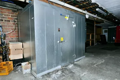 24 N Phelps Street, Youngstown, OH 44503 - Photo 43