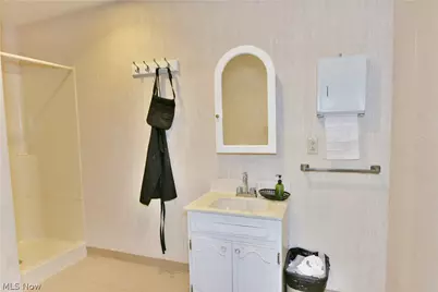 24 N Phelps Street, Youngstown, OH 44503 - Photo 35