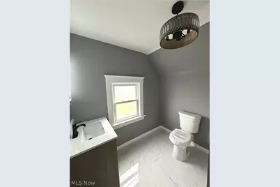 12005 Farringdon Avenue, Loveland, OH 44105 - Photo 13