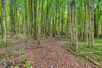 6174 US Route 6, Pierpont, OH 44082 - Photo 35