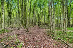 6174 US Route 6, Pierpont, OH 44082 - Photo 35