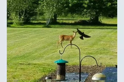 44565 Stang Road, Elyria, OH 44035 - Photo 45