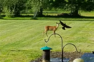 44565 Stang Rd, Elyria, OH 44035 - Photo 45