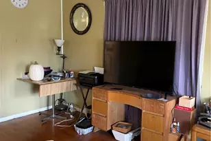 969 Evangeline Rd, Loveland, OH 44110 - Photo 15