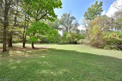 29 Carl Lane, Olmsted Twp, OH 44138 - Photo 23