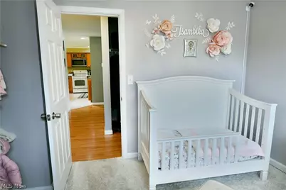 203 Aldrich Road, Austintown, OH 44515 - Photo 35