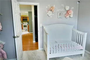 203 Aldrich Rd, Austintown, OH 44515 - Photo 35