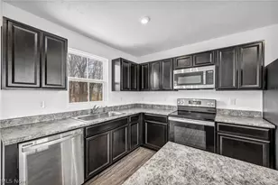 716 Pine Spring Dr, Painesville Twp, OH 44077 - Photo 13