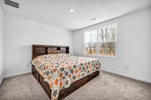 716 Pine Spring Dr, Painesville Twp, OH 44077 - Photo 27