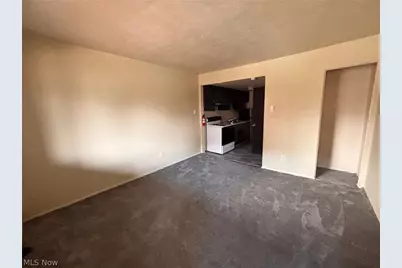 519 Crosby Street #8, Akron, OH 44302 - Photo 11