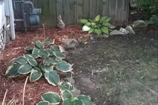 1512 Middle Ave, Elyria, OH 44035 - Photo 39