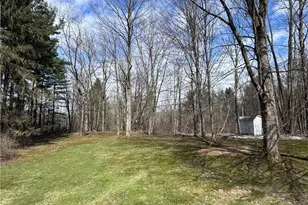 13566 Stoney Springs Dr, Chardon, OH 44024 - Photo 47