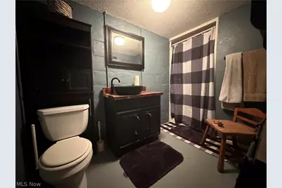 343 W Columbia Street, Alliance, OH 44601 - Photo 31