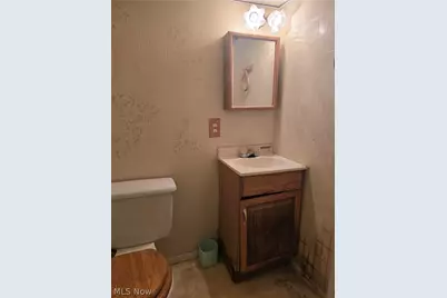 4309 Coddingville Road, Medina, OH 44256 - Photo 11