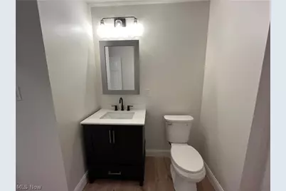 13325 Carrington Avenue, Loveland, OH 44135 - Photo 29