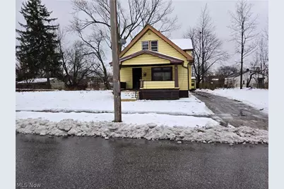 11210 Revere Avenue, Loveland, OH 44105 - Photo 1