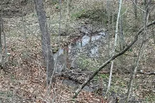 2630 Wilhelm Rd, Chandlersville, OH 43727 - Photo 5