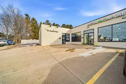 7211 Center Street, Mentor, OH 44060 - Photo 1