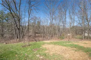 5343 Cleveland Ave S, Canton, OH 44707 - Photo 35