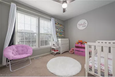 4518 Santina Way, Lorain, OH 44053 - Photo 23