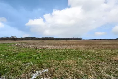 14768 Whitehead Road, LaGrange, OH 44050 - Photo 39