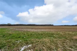 14768 Whitehead Rd, LaGrange, OH 44050 - Photo 39