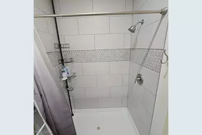 115 Beech Street, Kelleys Island, OH 43438 - Photo 19