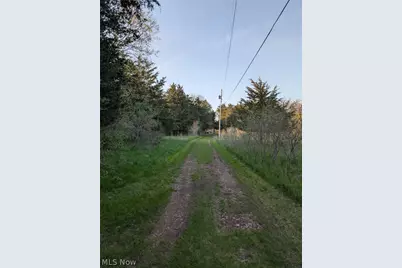 115 Beech Street, Kelleys Island, OH 43438 - Photo 5