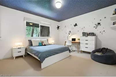 263 E Pine Lake Road, North Lima, OH 44452 - Photo 33