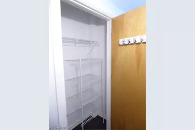 1237 Washington Avenue #507, Loveland, OH 44113 - Photo 29