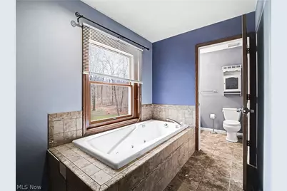 4333 Hamilton Road, Medina, OH 44256 - Photo 37