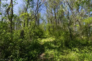 55844 T 132, Powhatan Point, OH 43942 - Photo 11
