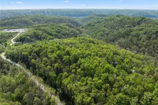 55844 T 132, Powhatan Point, OH 43942 - Photo 21