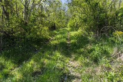 55844 T 132, Powhatan Point, OH 43942 - Photo 9