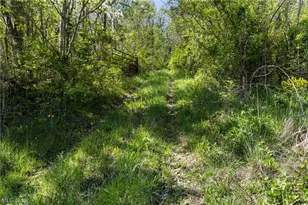 55844 T 132, Powhatan Point, OH 43942 - Photo 9