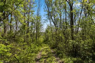 55844 T 132, Powhatan Point, OH 43942 - Photo 13