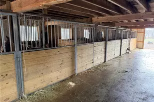 53405 Calais Rd, Quaker City, OH 43773 - Photo 7