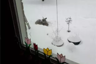 1143 Gary Blvd, Brunswick, OH 44212 - Photo 39