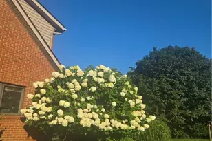 10909 Ruby, Cambridge, OH 43725 - Photo 35