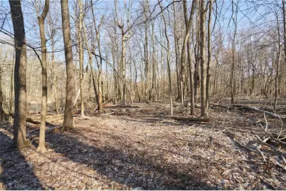 V/L 20 Ac Ridgewood Road, Fairlawn, OH 44333 - Photo 5