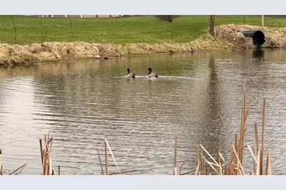 3629 Windsong Drive, Medina, OH 44256 - Photo 5