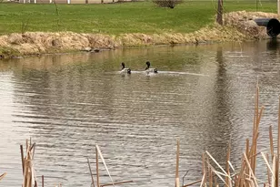 3629 Windsong Dr, Medina, OH 44256 - Photo 5