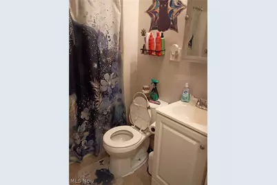 11316 Florian Avenue, Loveland, OH 44111 - Photo 9